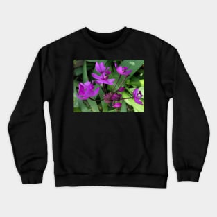 Forest Bathing with the Perfectly Pure Purple Wildflower Crewneck Sweatshirt